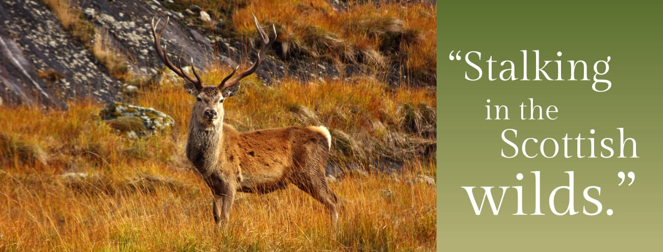 Shooting & Stalking in Perthshire